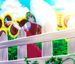 Rule 34 | 1girl, :o, armband, blue sky, bug, butterfly, butterfly on hand, cloud, day, fence, flower, from behind, grass, green hair, hand up, index finger raised, bug, kazami yuuka, leaf, long sleeves, looking at viewer, looking back, outdoors, parasol, plaid, plaid skirt, plaid vest, red eyes, short hair, shuutsu, skirt, sky, solo, sunflower, touhou, umbrella, vest, wooden fence