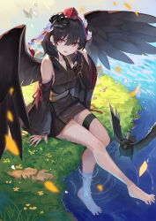 Rule 34 | 1girl, alternate costume, barefoot, bird, black hair, black kimono, black wings, commentary request, crow, detached sleeves, earrings, falken (yutozin), grass, hat, highres, japanese clothes, jewelry, kimono, looking at viewer, mask, mask on head, obi, open mouth, pom pom (clothes), red eyes, red hat, revision, ribbon-trimmed sleeves, ribbon trim, sash, shameimaru aya, sitting, smile, soaking feet, solo, thigh strap, tokin hat, touhou, water, wings