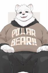 Rule 34 | 1boy, bara, bear, bear boy, black pants, blush, brown hoodie, commentary request, fangs, furry, furry male, highres, hood, hoodie, indie virtual youtuber, jugo kumagai, looking at viewer, male focus, pants, polar bear, scar, scar on face, scar on nose, simple background, smile, solo, thick eyebrows, totent kuma, white background