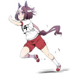 Rule 34 | 1girl, animal ears, bob cut, bow, brown hair, commentary request, ear bow, grimace, gym shirt, gym shorts, hachimaki, headband, horse ears, horse girl, horse tail, looking to the side, purple bow, purple eyes, red footwear, running, shirt, shoes, short hair, short sleeves, shorts, simple background, single horizontal stripe, sneakers, socks, solo, special week (umamusume), tail, tonpuu, umamusume, white background, white hair, white headband, white shirt, white socks