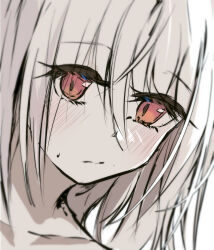 Rule 34 | 1girl, absurdres, blush, close-up, closed mouth, collarbone, copyright request, grey hair, hair between eyes, highres, long hair, looking at viewer, nakatokung, red eyes, simple background, solo, sweat, virtual youtuber, white background