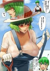 Rule 34 | 2girls, antennae, blue eyes, blush, breasts, cape, gloves, green hair, hat, kazami yuuka, large breasts, multiple girls, nishiumi rin, open mouth, overalls, red eyes, see-through, short hair, sky, speech bubble, straw hat, sweat, text focus, touhou, translation request, transparent background, white gloves, wriggle nightbug