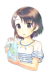 Rule 34 | 2girls, black eyes, black hair, bottle, brown hair, character request, check character, cropped torso, dress, flower, green dress, hair ornament, hairclip, holding, holding bottle, idolmaster, idolmaster cinderella girls, in bottle, in container, kawaseki, looking at another, mini person, minigirl, multiple girls, open mouth, rabbit hair ornament, sasaki chie, shirt, short hair, short sleeves, simple background, striped clothes, striped shirt, t-shirt, upper body, white background, yorita yoshino