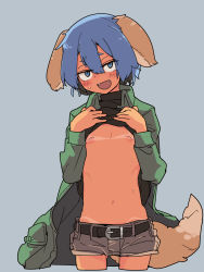 Rule 34 | 1girl, :d, animal ears, belt, bikini tan, blue background, blue eyes, blue hair, character request, coat, dog ears, dog tail, fangs, female focus, flat chest, green coat, hair between eyes, highres, lifting own clothes, navel, open mouth, short hair, short shorts, shorts, smile, solo, sweat, tail, tan, tanline, tomatojam, zakuzaku actors