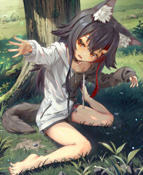 Rule 34 | 1girl, absurdres, aged down, animal ear fluff, annmitsu114, barefoot, black hair, black hoodie, black shorts, crossed bangs, day, feet, full body, grass, hair ornament, hands up, highres, hololive, hood, hoodie, legs, long sleeves, multicolored hair, nail polish, off shoulder, on ground, ookami mio, orange eyes, outdoors, outstretched arm, shadow, short shorts, shorts, sidelocks, sitting, sleeves past wrists, solo, spread toes, streaked hair, tail, tearing up, thighs, toenail polish, toenails, toes, tree, two-tone hoodie, virtual youtuber, wariza, white hoodie, wolf girl, wolf tail
