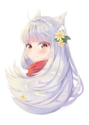 Rule 34 | 1girl, absurdres, ahoge, animal ears, blush, brown eyes, cat ears, closed mouth, eyes visible through hair, fang, fang out, flower, hair flower, hair ornament, highres, long hair, looking at viewer, looking back, original, portrait, red scarf, scarf, silver hair, solo, umi heno pearl, white background, yellow flower