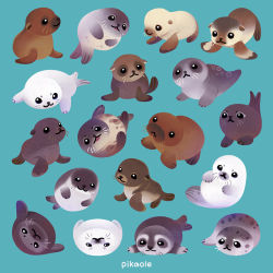 Rule 34 | animal, animal focus, aqua background, artist name, black eyes, closed mouth, commentary, english commentary, lying, no humans, on back, on side, on stomach, open mouth, original, photoshop (medium), pikaole, sea lion, seal (animal), simple background, smile, walrus, watermark, whiskers