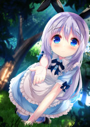 Rule 34 | 1girl, all fours, animal ears, apron, black footwear, blue bow, blue dress, blue eyes, blue hair, blush, bow, chinomaron, closed mouth, commentary request, day, dress, forest, frilled apron, frills, gochuumon wa usagi desu ka?, grass, hair between eyes, hair ornament, highres, kafuu chino, kemonomimi mode, long hair, looking at viewer, nature, on grass, outdoors, outstretched arm, pantyhose, puffy short sleeves, puffy sleeves, rabbit ears, shoes, short sleeves, smile, solo, striped clothes, striped pantyhose, sunlight, tree, very long hair, white apron, x hair ornament