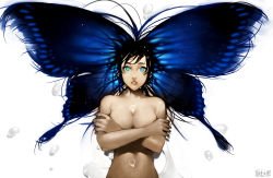 Rule 34 | 1girl, bad id, bad pixiv id, black hair, blue eyes, butterfly wings, covering breasts, covering privates, crossed arms, insect wings, long hair, looking at viewer, nude, original, parted lips, solo, sumiobunnya, water drop, white background, wings