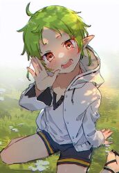Rule 34 | 1girl, black shorts, blush, day, elf, grass, green hair, hand up, highres, hood, hooded jacket, jacket, looking at viewer, mokkori, mushoku tensei, on grass, open mouth, outdoors, pointy ears, red eyes, seiza, shirt, short hair, shorts, sitting, solo, sylphiette (mushoku tensei), white jacket, white shirt