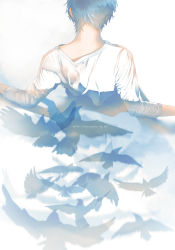 Rule 34 | 1boy, animal, back, bird, blue hair, from behind, male focus, original, partially submerged, re degrees (red flagship), reflection, shirt, sky, solo, water, watermark, web address, wet, wet clothes, white shirt