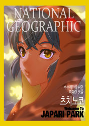Rule 34 | 10s, 1girl, brown eyes, cover, fake cover, grey hair, hood, hood up, kemono friends, korean text, looking at viewer, national geographic, parody, parted lips, portrait, roonhee, short hair, slit pupils, solo, striped, tsuchinoko (kemono friends)