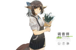 Rule 34 | 1girl, absurdres, alternate costume, animal ears, apron, arknights, black apron, blue bow, blue ribbon, bouquet, bow, brown bow, brown eyes, brown hair, character name, closed mouth, collared shirt, commentary, copyright name, cowboy shot, english commentary, english text, flower, flower request, fox ears, fox tail, from side, hair bow, hands up, highres, holding, holding bouquet, loftcat, long hair, looking at viewer, looking to the side, neck ribbon, no smoking, perfumer (arknights), ponytail, ribbon, shirt, short sleeves, simple background, solo, tail, translation request, white background, white flower, white shirt