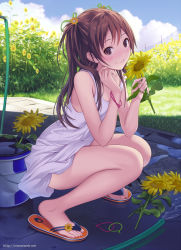 Rule 34 | 1girl, bare arms, bare legs, bare shoulders, blanket, blue sky, blush, bracelet, brown eyes, brown hair, closed mouth, cloud, day, dress, feet, female focus, field, flip-flops, flower, flower field, from side, full body, hair ornament, hair ribbon, jewelry, long hair, looking at viewer, mana kakkowarai, original, ribbon, sandals, sky, sleeveless, sleeveless dress, smile, solo, squatting, straight hair, sundress, sunflower, tan, tanline, twintails, two side up, white dress