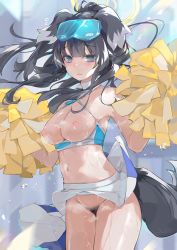 Rule 34 | 1girl, @ @, animal ears, armpits, bare shoulders, black hair, blue archive, blue eyes, blush, breasts, breasts out, cheerleader, cleavage, cowboy shot, crop top, dema hmw, dog ears, dog girl, dog tail, eyewear on head, female pubic hair, goggles, goggles on head, halo, hibiki (blue archive), hibiki (cheer squad) (blue archive), highres, holding, holding pom poms, long hair, looking at viewer, medium breasts, midriff, millennium cheerleader outfit (blue archive), miniskirt, navel, nipples, no panties, pleated skirt, pom pom (cheerleading), pom poms, ponytail, pubic hair, skirt, sleeveless, solo, sticker on face, tail, wet, white skirt