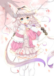 Rule 34 | 10s, 1girl, absurdres, blue eyes, capelet, cherry blossoms, dragon girl, dragon horns, dragon tail, ge ma, hair bobbles, hair ornament, hairband, highres, holding, horns, kanna kamui, kobayashi-san chi no maidragon, long hair, looking at viewer, low twintails, petals, silver hair, solo, tail, thighhighs, twintails, white thighhighs, wind, zettai ryouiki