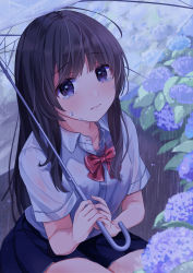Rule 34 | 1girl, absurdres, ahoge, blouse, blue eyes, blue skirt, blush, bow, bowtie, breasts, brown hair, buntason (buritarooooo), buttons, collarbone, collared shirt, commentary request, crying, dress, floral background, flower, hair between eyes, hair over breasts, hair over eyes, hair over shoulder, highres, holding, holding umbrella, hydrangea, long hair, looking at viewer, messy hair, open collar, original, pleated dress, rain, red bow, red bowtie, school uniform, see-through, shirt, skirt, small breasts, solo, squatting, tears, umbrella, unbuttoned, unbuttoned shirt, wavy mouth, wet, wet clothes, white shirt