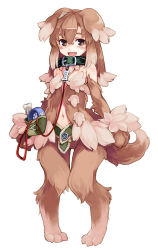Rule 34 | 1girl, animal collar, animal ears, animal hands, bare shoulders, blush, brown eyes, brown hair, collar, digitigrade, dog ears, dog girl, dog tags, dog tail, full body, kenkou cross, kobold (monster girl encyclopedia), long hair, looking at viewer, monster girl, monster girl encyclopedia, monster girl encyclopedia ii, navel, official art, open mouth, pet, simple background, smile, solo, tail, white background
