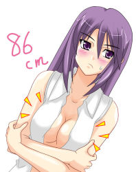 Rule 34 | 00s, 1girl, blush, breasts, large breasts, melty blood, open clothes, open shirt, purple eyes, purple hair, shirt, sion eltnam atlasia, solo, tsukihime, type-moon
