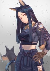 Rule 34 | 1girl, animal, animal ears, arknights, black hair, black shirt, breasts, brown eyes, collar, doberman, dobermann (arknights), dog, dog ears, dog girl, gloves, highres, holding, holding whip, janoukyo19, long hair, looking at viewer, medium breasts, midriff, name connection, shirt, solo, whip