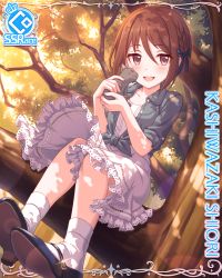 Rule 34 | 1girl, bow, braid, brown hair, card (medium), cat, cygames, hair bow, highres, in tree, jacket, lace, lace-trimmed skirt, lace trim, nuzzle, official art, princess connect!, shiori (princess connect!), shiori (real) (princess connect!), sitting, sitting in tree, skirt, solo, sunset, tied jacket, tree