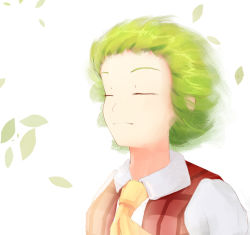Rule 34 | 1girl, ascot, bad id, bad pixiv id, bright background, closed mouth, collared shirt, commentary request, dl4544, closed eyes, floating hair, green hair, kazami yuuka, leaf, light smile, plaid, plaid vest, shirt, short hair, solo, touhou, upper body, vest, wind