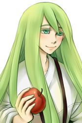 Rule 34 | abaishumei, androgynous, apple, bad id, bad pixiv id, blush, enkidu (fate), fate/strange fake, fate (series), food, fruit, gender request, green eyes, green hair, long hair, male focus, matching hair/eyes, solo