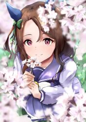 Rule 34 | 1girl, animal ears, bow, bowtie, brown hair, cherry blossoms, ear covers, flower, flower in eye, from above, green bow, highres, holding, holding flower, horse ears, horse girl, king halo (umamusume), long hair, long sleeves, looking at viewer, pleated skirt, ponimeri, purple shirt, purple skirt, red eyes, sailor collar, sailor shirt, school uniform, shirt, skirt, smile, solo, symbol in eye, tracen school uniform, umamusume, white bow, white bowtie