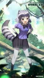 Rule 34 | 1girl, animal ears, black hair, black skirt, blurry, blurry foreground, bodystocking, bow, bowtie, breast pocket, brown eyes, common raccoon (kemono friends), copyright name, copyright notice, day, fang, full body, fur collar, gradient clothes, grey hair, hands on own hips, highres, kemono friends, kemono friends kingdom, layered sleeves, leaning forward, long sleeves, looking at viewer, medium hair, miniskirt, multicolored hair, official art, open mouth, outdoors, plant, pleated skirt, pocket, purple shirt, raccoon ears, raccoon girl, raccoon tail, river, shirt, shoes, short over long sleeves, short sleeves, skirt, smile, socks, solo, standing, striped tail, tail, tree, tsurime, v-shaped eyebrows, water, white hair