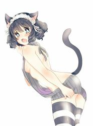 Rule 34 | 10s, 1girl, animal ears, ass, back, black hair, blue eyes, breasts, bright pupils, cat ears, cat tail, curly hair, cyan (show by rock!!), embarrassed, jpeg artifacts, looking back, maid headdress, meme attire, open mouth, oversized clothes, shimizu akina, show by rock!!, sideboob, simple background, solo, striped clothes, striped thighhighs, tail, thighhighs, virgin killer sweater, wavy mouth, white background