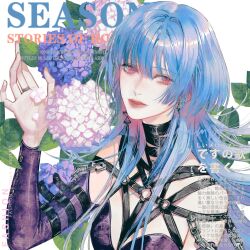 Rule 34 | 1girl, absurdres, acyantree, arm belt, bare shoulders, black choker, black gemstone, blue flower, blue hair, chain, chest harness, choker, cover, dangle earrings, detached sleeves, dress, earrings, english text, fake magazine cover, flower, hamel (path to nowhere), hand up, harness, highres, hydrangea, jewelry, leaf, long hair, looking at viewer, looking to the side, magazine cover, mismatched earrings, parted lips, path to nowhere, petals, pink eyes, pink flower, pink petals, purple dress, purple sleeves, red lips, ring, solo, upper body