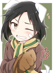 Rule 34 | ^^^, 10s, 1girl, animal ears, bandaid, bandaid on face, black hair, blush, brave witches, brown coat, brown gloves, coat, commentary, dog ears, dog tail, fist bump, gloves, green background, green eyes, highres, kanno naoe, looking at viewer, military, military uniform, one eye closed, scarf, short hair, solo, tail, uniform, world witches series, yasaka shuu