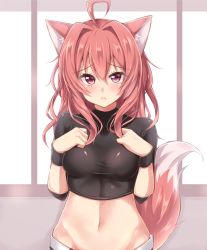 Rule 34 | 1girl, :o, ahoge, animal ears, belt, belt buckle, black legwear, black shirt, blush, buckle, cowboy shot, fox ears, fox tail, grey background, hair intakes, hands on own chest, impossible clothes, impossible shirt, jiino, long hair, looking at viewer, midriff, mole, mole under eye, navel, open mouth, original, raika (jiino), red eyes, red hair, shirt, short shorts, shorts, smile, solo, standing, stomach, tail, wristband
