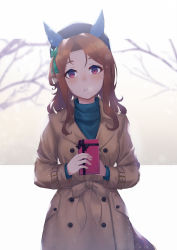 Rule 34 | 1girl, animal ears, blush, bow, box, breath, brown coat, brown hair, coat, ear covers, gift, gift box, green bow, green sweater, hair bow, hat, highres, holding, holding gift, horse ears, horse girl, horse tail, king halo (umamusume), long hair, long sleeves, looking at viewer, parted lips, red eyes, solo, sweater, tail, teeth, turtleneck, turtleneck sweater, umamusume, upper body, valentine, vococo