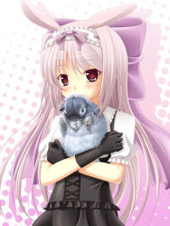 Rule 34 | 1girl, animal, animal ears, bad id, bad pixiv id, black gloves, blush, bow, gloves, grey hair, hair bow, hairband, holding, holding animal, long hair, looking at viewer, original, oversized clothes, psyche3313, purple bow, rabbit, rabbit ears, red eyes, short sleeves, very long hair
