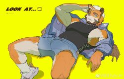 Rule 34 | 1boy, absurdres, bara, beard, black tank top, bulge, denim, denim shorts, facial hair, from above, furry, furry male, highres, jacket, jacket partially removed, large pectorals, looking at viewer, lying, male focus, me-me (mouact2), muscular, muscular male, off shoulder, on back, original, pectorals, short hair, shorts, sideburns, sidepec, solo, spread legs, tank top, thick eyebrows, thighs, tiger boy (mouact2)