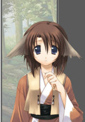 Rule 34 | 00s, 1girl, androgynous, animal ears, blue eyes, brown hair, forest, game cg, hongfire is down, japanese clothes, kimono, long sleeves, looking at viewer, nature, outdoors, plant, sash, short hair, solo, tree, upper body, utawarerumono, wide sleeves