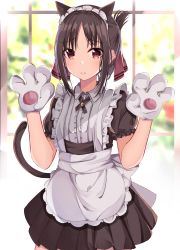 Rule 34 | 1girl, absurdres, alternate costume, animal ears, animal hands, apron, blurry, blurry background, blush, brown dress, brown hair, cat ears, cat girl, cat tail, center frills, closed mouth, collared shirt, commentary request, depth of field, dress, enmaided, folded ponytail, frilled apron, frills, gloves, hair ribbon, hands up, highres, kaguya-sama wa kokurasetai ~tensai-tachi no renai zunousen~, kemonomimi mode, maid, maid headdress, norazura, parted bangs, paw gloves, pleated dress, puffy short sleeves, puffy sleeves, red eyes, red ribbon, ribbon, shinomiya kaguya, shirt, short sleeves, sidelocks, solo, tail, white apron, white gloves, white shirt, window