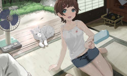 Rule 34 | 1girl, absurdres, brown hair, cat, door, electric fan, food, from above, grass, green eyes, hair ornament, hairclip, highres, holding, holding food, idolmaster, idolmaster million live!, idolmaster million live! theater days, ieyasu7828, kinoshita hinata, looking at viewer, midriff peek, on floor, open mouth, outstretched arm, popsicle, short hair, short shorts, shorts, sitting, sleeveless, summer, sweat, tank top, tatami