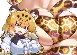 Rule 34 | 10s, 1girl, animal ears, animal print, ass, black bow, black bowtie, blush, bow, bowtie, breast pocket, breasts, brown eyes, brown hair, butt crack, closed mouth, commentary request, elbow gloves, fangs, fur scarf, gloves, hands up, impossible clothes, impossible shirt, impossible underwear, jaguar (kemono friends), jaguar ears, jaguar print, jaguar tail, kemono friends, large breasts, light brown hair, looking at viewer, medium hair, multicolored hair, nananana nanana, open mouth, panties, pocket, print bow, print bowtie, print gloves, print neckwear, print panties, print thighhighs, scarf, shirt, skindentation, smile, solo, tail, thick thighs, thighhighs, thighs, tsurime, underwear, white shirt