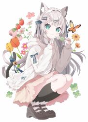 Rule 34 | 1girl, animal ears, aqua eyes, brown footwear, bug, butterfly, cat ears, cat girl, cat tail, clover, dango, dress shirt, eating, flower, food, four-leaf clover, fruit, full body, highres, hood, hood down, hoodie, insect, long hair, long sleeves, looking at viewer, open clothes, open hoodie, original, pink flower, pink skirt, sanshoku dango, shirt, simple background, skewer, skirt, sleeves past wrists, solo, squatting, strawberry, tail, tantan men (dragon), v, wagashi, white background, white flower, white hair, white hoodie, white shirt