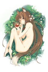 Rule 34 | absurdres, animal ears, apple, bitten apple, brown hair, commentary request, curled up, flower, food, food bite, fruit, grass, highres, holding, holding food, holding fruit, holo, leaf, long hair, looking at viewer, lying, nude, on side, plant, red eyes, seu kaname, solo, spice and wolf, tail, very long hair, wolf ears, wolf girl, wolf tail