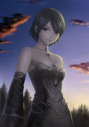 Rule 34 | 1girl, bare shoulders, black eyes, black hair, bob cut, breasts, choker, cleavage, cloud, detached sleeves, dress, human (lineage 2), hume, jewelry, kanzeon, lineage, lineage 2, medium breasts, short hair, sky, solo, sunset