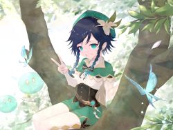 Rule 34 | 1boy, androgynous, beret, black hair, blue hair, bow, braid, brooch, bug, butterfly, cape, collared cape, collared shirt, commentary request, corset, day, diamond (shape), feathers, flower, frilled sleeves, frills, gem, genshin impact, gradient hair, green cape, green eyes, green hat, green shorts, grin, hair flower, hair ornament, hat, highres, in tree, insect, jewelry, kensho, leaf, long sleeves, looking at viewer, male focus, multicolored hair, outdoors, pantyhose, shirt, short hair with long locks, shorts, side braids, sidelocks, sitting, sitting in tree, slime (genshin impact), smile, solo, tree, twin braids, v, venti (genshin impact), vision (genshin impact), white flower, white pantyhose, white shirt
