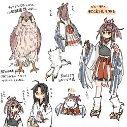 Rule 34 | 2girls, ahoge, animal, animalization, bird, bird tail, black hair, brown eyes, brown gloves, closed mouth, falcon, feathered wings, flying sweatdrops, gloves, hachimaki, hair between eyes, headband, high ponytail, hinata hibari, japanese clothes, kantai collection, kimono, light brown hair, long hair, multiple girls, multiple views, muneate, open mouth, partially fingerless gloves, partly fingerless gloves, shouhou (kancolle), simple background, tail, translation request, very long hair, white background, white kimono, wings, yugake, zuihou (kancolle)
