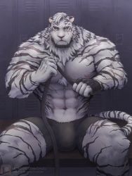 Rule 34 | 1boy, abs, alternate facial hair, animal ears, arknights, bara, beard, black male underwear, body fur, boxers, bulge, chizo (chizo67), facial hair, feet out of frame, furry, furry male, large pectorals, locker, locker room, looking at viewer, male focus, male underwear, mountain (arknights), muscular, muscular male, navel, nipples, paid reward available, pectorals, paid reward available, scar, scar across eye, scar on face, short hair, sitting, solo, stomach, thick thighs, thighs, tiger boy, tiger ears, topless male, underwear, underwear only, white fur