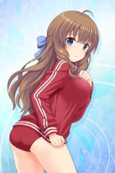 Rule 34 | 1girl, absurdres, ahoge, alternative girls, arimura shion, ass, blue background, blue eyes, brown hair, buruma, closed mouth, hand on own chest, highres, long hair, long sleeves, looking at viewer, official art, red buruma, red sweater, solo, sweater