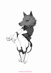 Rule 34 | 1girl, animal ears, animal head, arms on knees, bare legs, barefoot, between toes, black nails, bound, bound ankles, bound thighs, bound wrists, breasts, crossed wrists, feet, fox, fox ears, fox head, greyscale, highres, ibrahem swaid, inktober, knees, knees up, large breasts, legs folded, looking ahead, monochrome, nail polish, original, patreon username, shirt, short sleeves, simple background, snout, solo, toenail polish, toenails, toes, watermark, web address, white background, wide shot