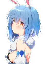 Rule 34 | 1girl, absurdres, alternate hair length, alternate hairstyle, animal ear fluff, animal ears, arm cuffs, backless outfit, black leotard, blue hair, blush, breasts, commentary, don-chan (usada pekora), from side, fur scarf, hair between eyes, highres, hololive, kutar22, leotard, looking at viewer, medium breasts, open mouth, playboy bunny, rabbit ears, rabbit girl, red eyes, short hair, sideboob, simple background, solo, symbol-shaped pupils, thick eyebrows, upper body, usada pekora, usada pekora (1st costume), virtual youtuber, white background