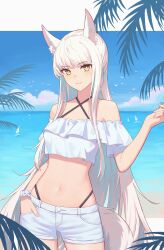 1girl absurdres animal_ear_fluff animal_ears arknights bare_shoulders beach cowboy_shot dhsl hand_in_pocket highres horse_ears horse_girl horse_tail long_hair looking_at_viewer navel off-shoulder_shirt off_shoulder platinum_(arknights) shirt shorts solo tail water white_hair white_shirt white_shorts yellow_eyes